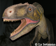 Tarascosaurus