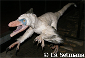 Variraptor