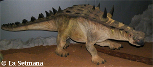 struthiosaurus occitanicus